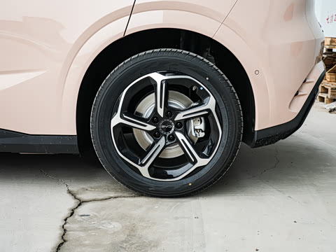 2025�� �Ǽݰ� 605���˰�