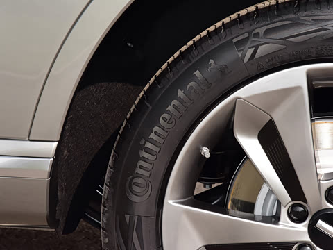 2023�� ������������