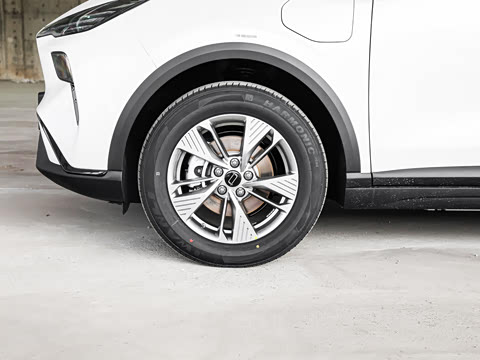 2025�� 445km ���ð�