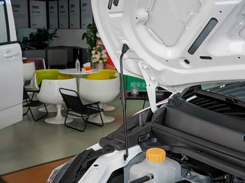 2025�� 2.0L CNG������ 7��