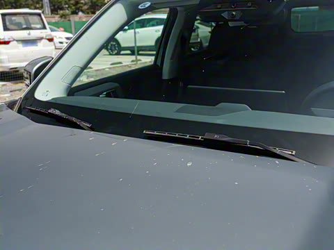 2025�� 501KM ����Max��