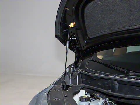 2025�� ������ɽ9