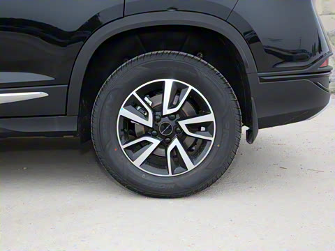 2022�� ʢ���� 1.5T �Զ����ΰ�����