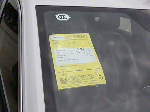 2025�� �Ŀ�� 300TSI DSG���������