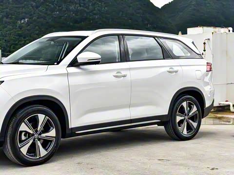 2025�� PRO 1.5T DCT ������ 5��