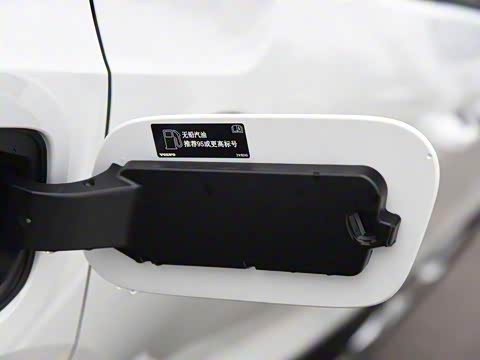 2019�� T4 ����������ѩ��