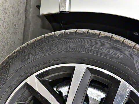 2020�� 330TSI DSG ������