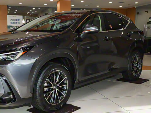 2025�� 260 ǰ�� �ر��