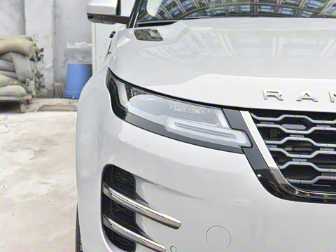 2021�� ����L P300e ������