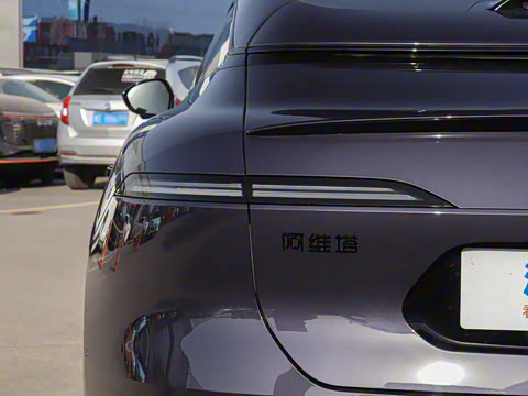 2025�� Pro���̰�