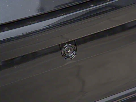 2025�� 725 �������� Max