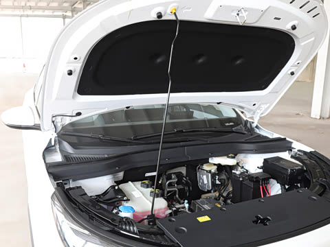 2025�� 445km ���ð�