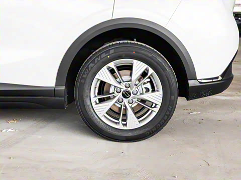 2025�� 445km ���ð�