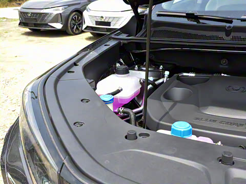 2025�� ������ �ھ��� 1.5T ������