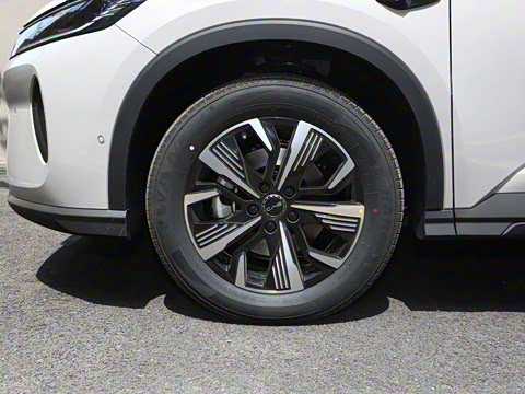 2025�� DM-i �Ǽݰ� 75KM������