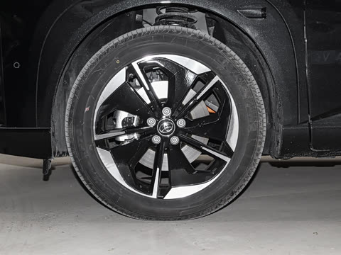 2025�� 520 Pro+ �����״��