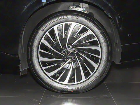 2025�� ���� 240 Pro�������ٸ�����ʻ