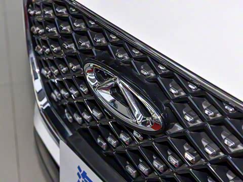 2023�� 290TGDI DCT������