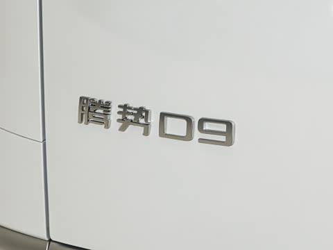 2025�� DM-i �Ǽݰ� 1100 ������