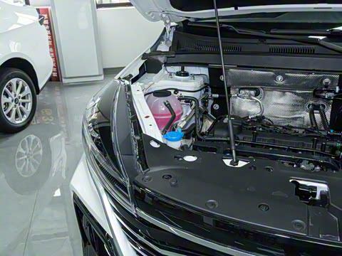 2025�� 1.5L �ֶ����ʰ�