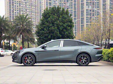 2025�� DM-p ���������״��콢��