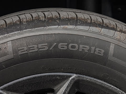 2025�� 501KM ����Max��