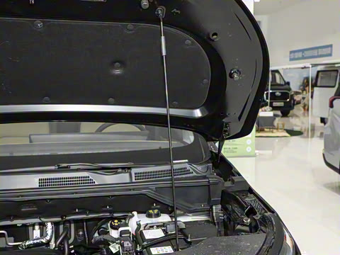 2025�� �콢��