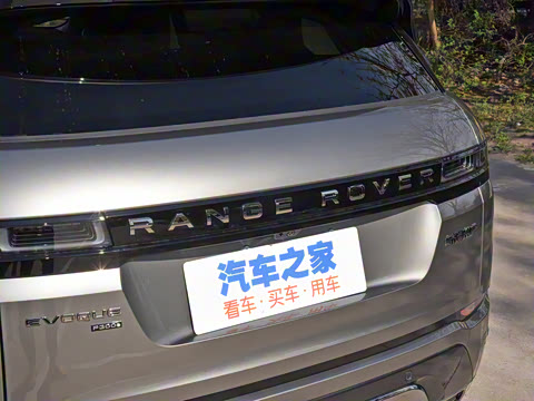 2021�� ����L P300e ������