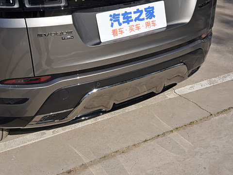 2021�� ����L P300e ������