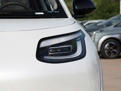 2025�� 330��ҫ��