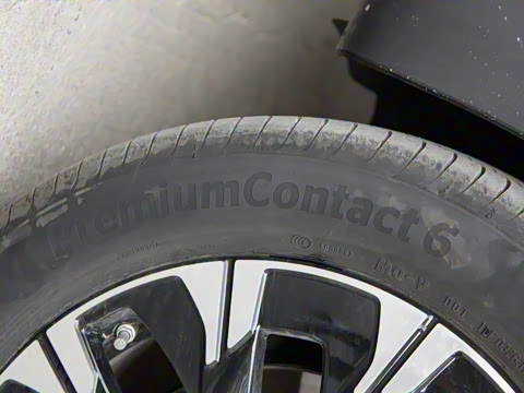 2024�� V 300 �캽��