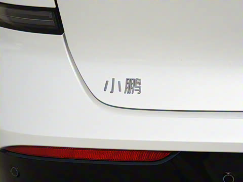 2025�� �������� Max �콢��