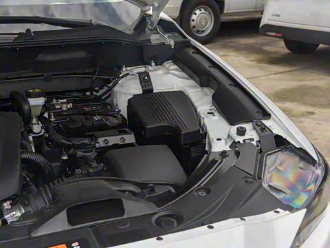 2025�� 2.0L �Զ�����������