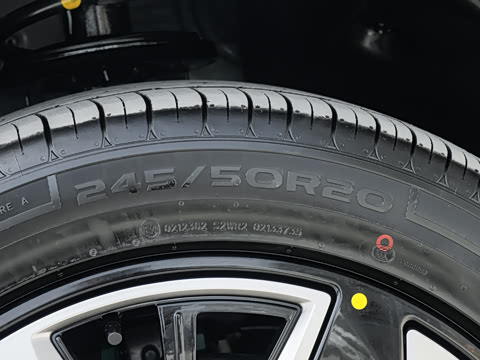 2025�� 150 �캽��