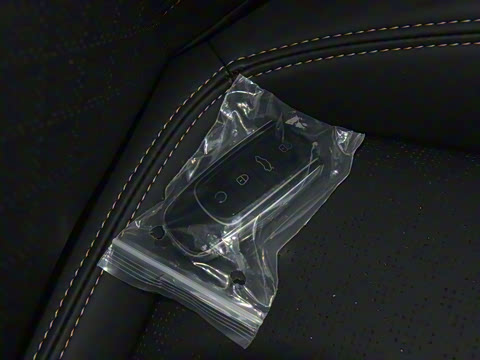 2021�� 230TCI �ֶ���Ӣ��