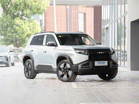 2025�� 501KM ����Max��