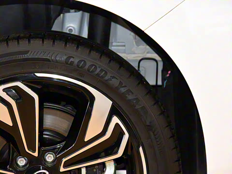 2022�� ���������