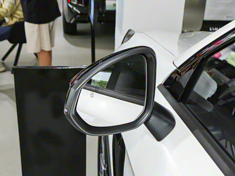 2025�� 2.0TD ��������Pro��