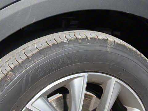 2023�� PLUS 330TGI �Զ��쳱�ǻݰ�