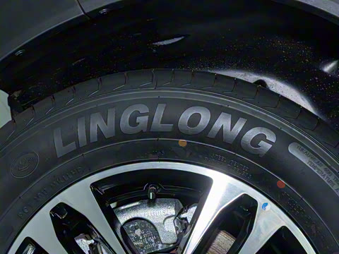 2025�� 1.5L �ֶ����ʰ�