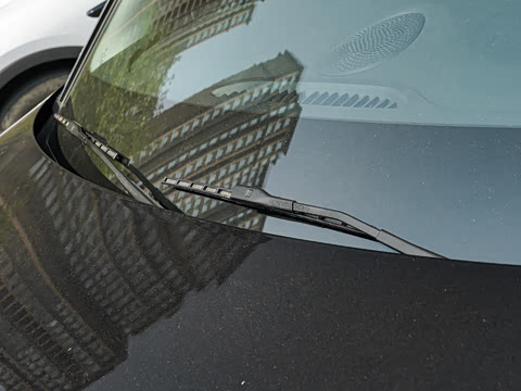 2025�� 150 �캽+��