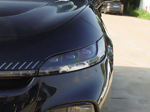 2024�� ������������