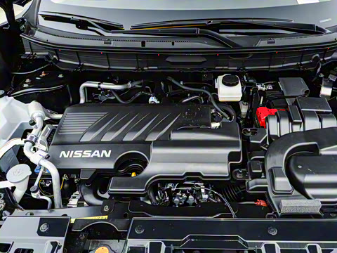 2025�� ���� 2.0L �������İ�