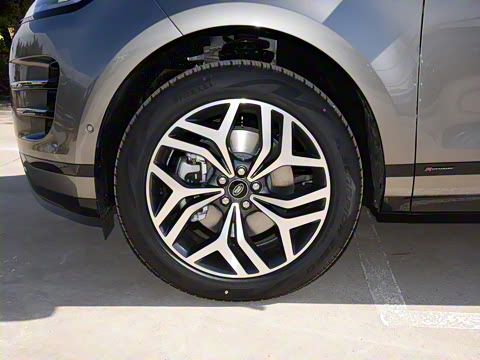 2021�� ����L P300e ������