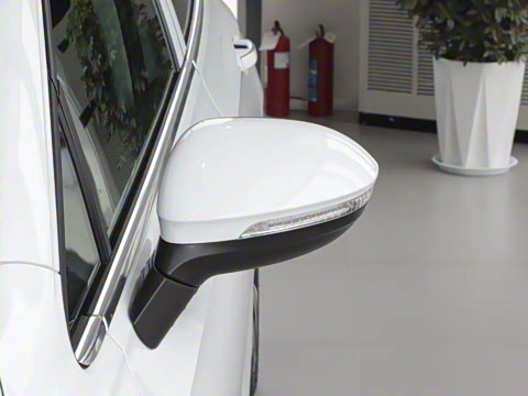 2025�� �Ŀ� 300TSI Pro