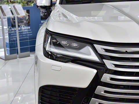 2025�� 700h VIP������