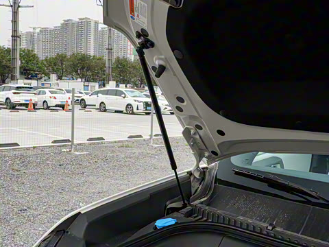 2025�� 501KM ����Max��