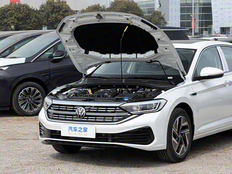 2025�� �Ŀ� 300TSI DSG��Խ��