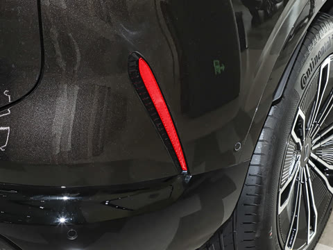 2024�� Max�����