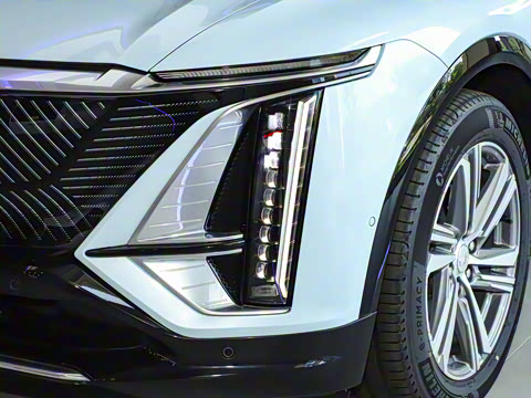 2022�� ��������������